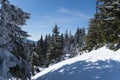 Winter landscape, Postavaru Mountains, Romania Royalty Free Stock Photo