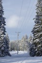 Winter landscape with power line Royalty Free Stock Photo