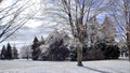 Winter landscape of the public park after the freezing rain storm and severe weather Royalty Free Stock Photo