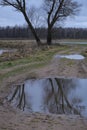 Winter landscape without with puddles on dirt road Royalty Free Stock Photo