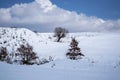 Winter landscape. Racos. Royalty Free Stock Photo