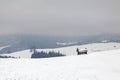 Winter mountain landscape