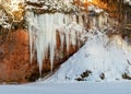 Winter landscape with red sandstone cliffs and icefall on the bank of the river Salaca, the sun shines on the trees and the bank Royalty Free Stock Photo