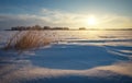 Winter landscape with reeds, frozen lake and sunset sky.