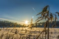 Winter landscape with reeds and plane trail in the blue sky over a frozen lake Royalty Free Stock Photo