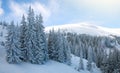 Winter landscape resort in mountains of fir forest covered with snow on blue sky background Royalty Free Stock Photo