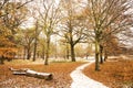 Winter landscape of Richmond Park