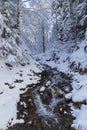 Winter landscape on the river. Fast mountain river in a snowy forest Royalty Free Stock Photo