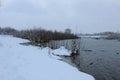 Winter landscape. River lake without ice swamp plants neg. winter entertainment. Plants in the snow