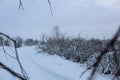 Winter landscape. River lake without ice swamp plants neg. winter entertainment. Plants in the snow