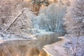 Winter landscape Royalty Free Stock Photo