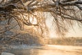 Winter landscape. River view near forest. Snow and frost at Misty sunrise