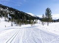 Winter landscape with a road with a cross-country trail in the Schonfeld area, Salzburger Lungau, Austria, Europe.