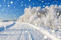 Winter landscape with road and forest Royalty Free Stock Photo