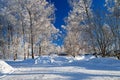 Winter landscape with the road the forest Royalty Free Stock Photo