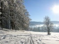 Winter landscape with road forest and blue sky. Wintry path. Frosty sunny day. Snowy winterly landscape.