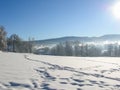 Winter landscape with road forest and blue sky. Wintry path. Frosty sunny day. Snowy winterly landscape.