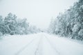 Winter landscape, the road goes into the distance Royalty Free Stock Photo