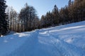 Winter landscape, the road goes into the distance, along the burned down snow-covered trees. Fabulous, mystical photo Royalty Free Stock Photo