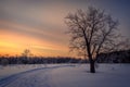 Winter landscape with road, trees covered snow and sunrise. Winter morning of a new day. Royalty Free Stock Photo