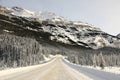 Winter Landscape, Rocky Mountains, Alberta, Canada