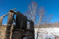 The ruins of a wooden country house against the background of a birch grove in winter.