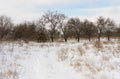 Winter landscape in rural area Royalty Free Stock Photo