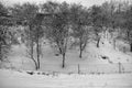 Winter landscape in the rural mountain