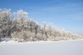 Winter landscape