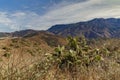 Santa Monica Landscape