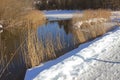 Winter landscape schlierach river with dry reed and snow cover