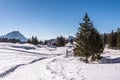 Winter landscape on the Schwaegalp in the Swiss Alps