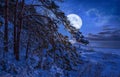 Winter landscape with sea and covered in snow pine trees in moonlight against starry night sky and full moon. Snowy sea coast Royalty Free Stock Photo