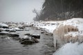 Winter landscape from the sea shore, winter by the sea, white snow covering the beach, falling snow in the background, bare trees