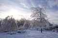 Winter landscape of the severe weather - freezing rain storm Royalty Free Stock Photo