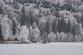 Tourists on a frozen lake in a winter day Royalty Free Stock Photo