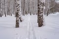 Winter landscape in Siberia, deep ski run in fresh snow on a snow-covered alley in the city park Royalty Free Stock Photo