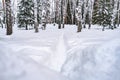 Winter landscape in Siberia, a deep trail in fresh snow on a snow-covered alley in a city park.