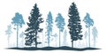 Winter landscape, silhouette of coniferous forest, beautiful pines and spruce trees. Vector illustration Royalty Free Stock Photo