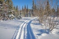 Winter landscape with a ski road between the snowdrifts in the forest.