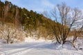 Winter landscape. Ski track in the snow. Island on a frozen river. Trees in the snow.