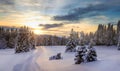 Winter landscape with ski tracks in the snow.