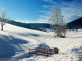 Winter Landscape with small Bridge Royalty Free Stock Photo