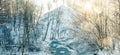 Winter landscape of small forest stream Royalty Free Stock Photo