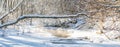 Winter landscape of small forest stream Royalty Free Stock Photo