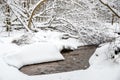 forest tiny river in winter Royalty Free Stock Photo