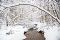 small forest stream in winter Royalty Free Stock Photo