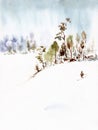 Winter landscape. Small village on the hill. Skier rolls on a snowdrift.. Hand drawn watercolor with paper texture. Raster Royalty Free Stock Photo