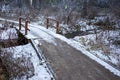 A small bridge in the forest across the river. Royalty Free Stock Photo