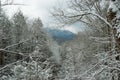 Winter Landscape in the Smokies Royalty Free Stock Photo